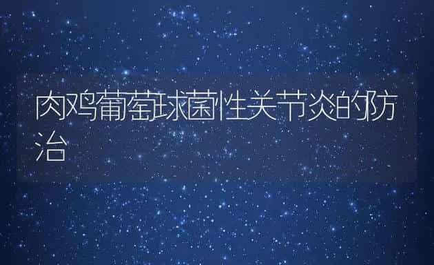 肉鸡葡萄球菌性关节炎的防治 | 动物养殖学堂