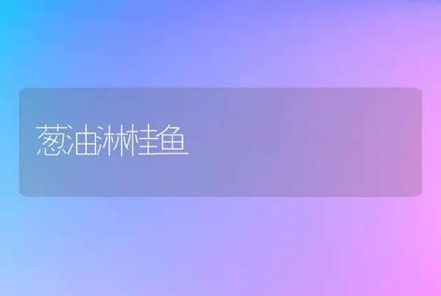 葱油淋桂鱼 | 动物养殖