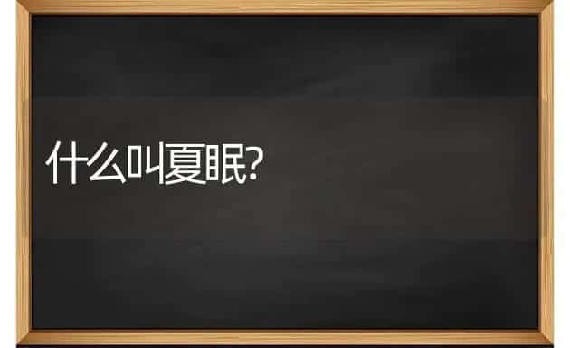 什么叫夏眠？ | 动物养殖问答
