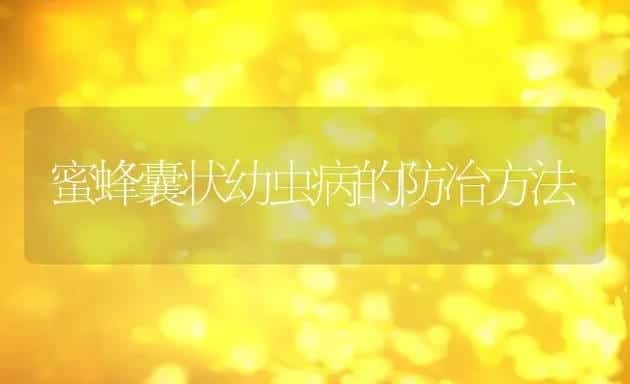 蜜蜂囊状幼虫病的防冶方法 | 动物养殖百科