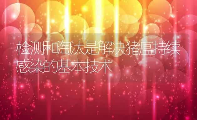 检测和淘汰是解决猪瘟持续感染的基本技术 | 动物养殖学堂