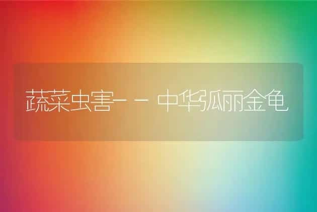 蔬菜虫害--中华弧丽金龟 | 动物养殖