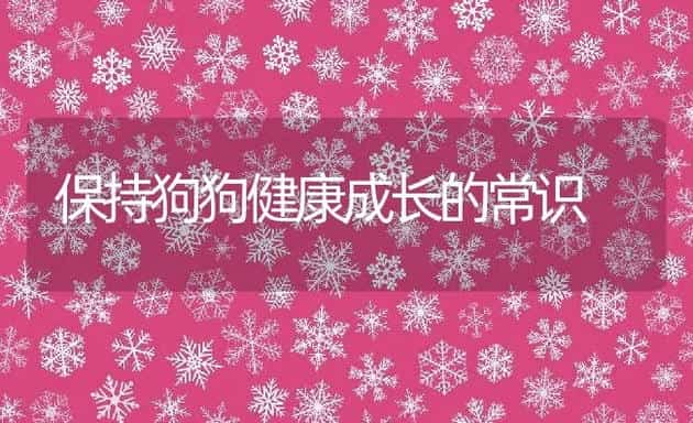保持狗狗健康成长的常识 | 宠物猫