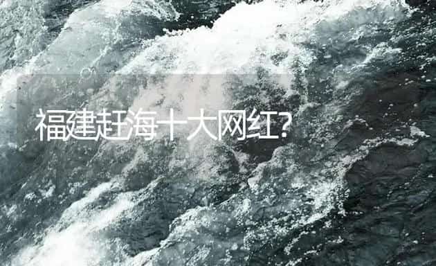 福建赶海十大网红？ | 鱼类宠物饲养