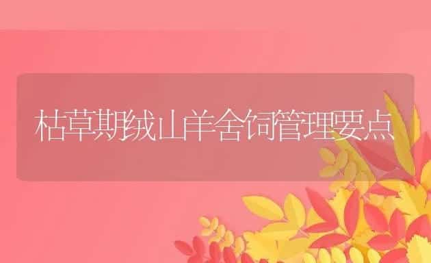 鳗鱼养殖之如何养好水 | 海水养殖技术