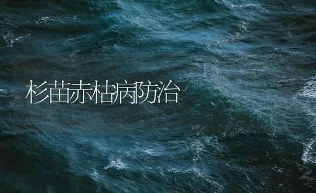 杉苗赤枯病防治 | 海水养殖技术