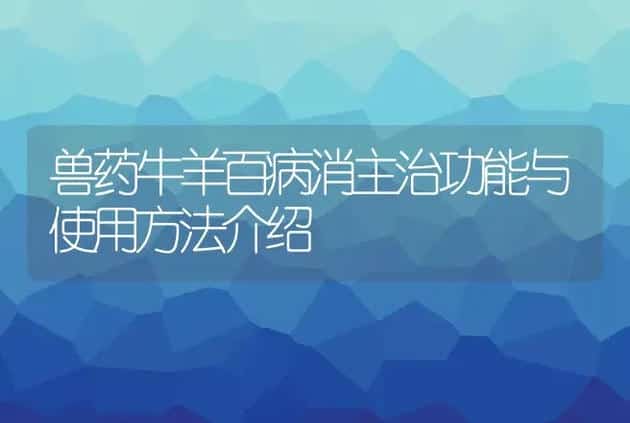 兽药牛羊百病消主治功能与使用方法介绍 | 家畜养殖