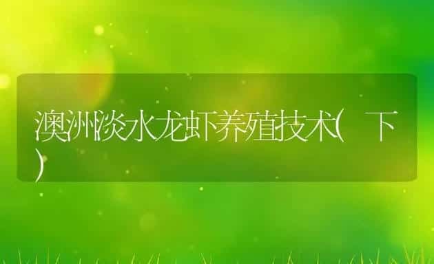 澳洲淡水龙虾养殖技术(下) | 动物养殖饲料