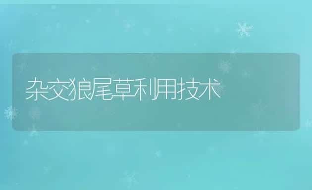 杂交狼尾草利用技术 | 动物养殖饲料