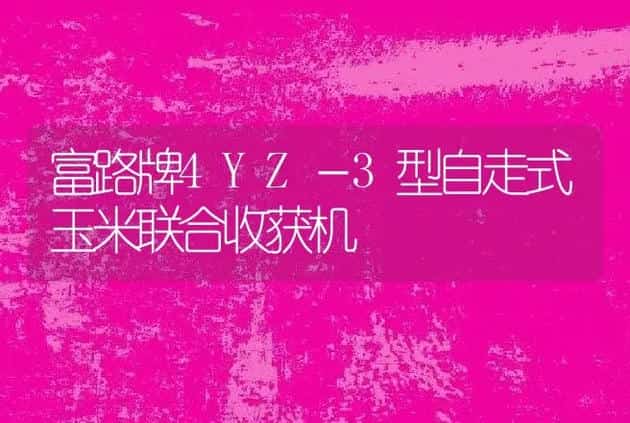 富路牌4YZ－3型自走式玉米联合收获机 | 养殖