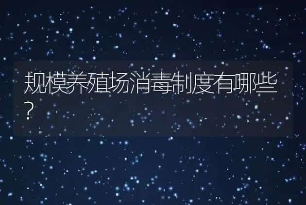 规模养殖场消毒制度有哪些? | 兽医知识大全