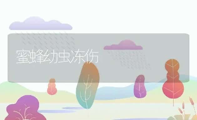 养鸡应备保健料 | 动物养殖学堂