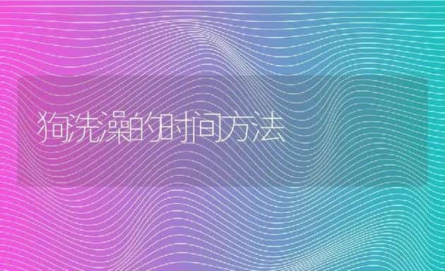 狗洗澡的时间方法 | 宠物猫