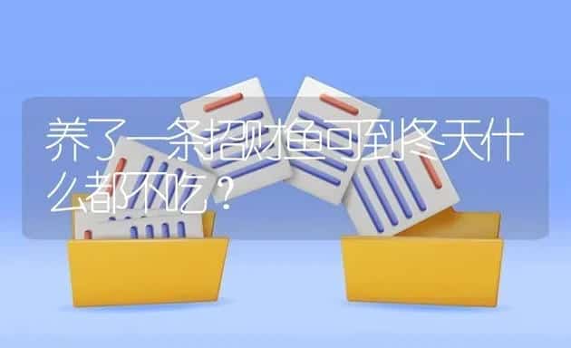 养了一条招财鱼可到冬天什么都不吃？ | 鱼类宠物饲养