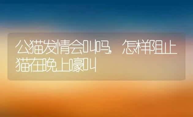 公猫发情会叫吗,怎样阻止猫在晚上嚎叫 | 宠物百科知识