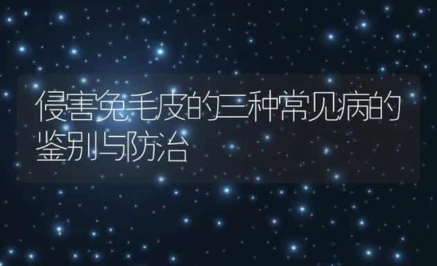 侵害兔毛皮的三种常见病的鉴别与防治 | 动物养殖学堂