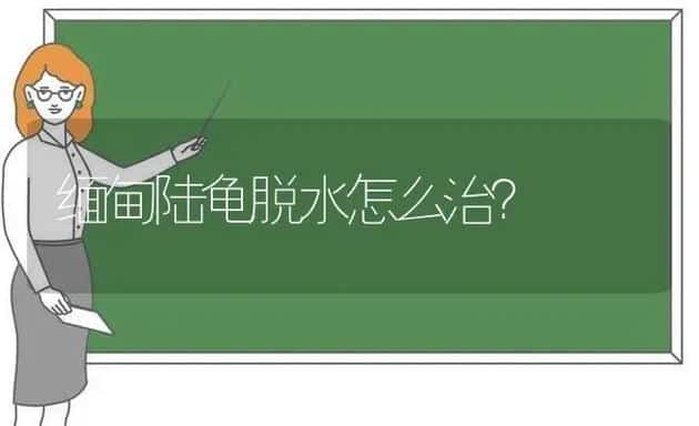 缅甸陆龟脱水怎么治？ | 动物养殖问答
