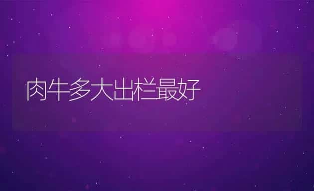 潮间带鲍池养海参技术 | 海水养殖技术