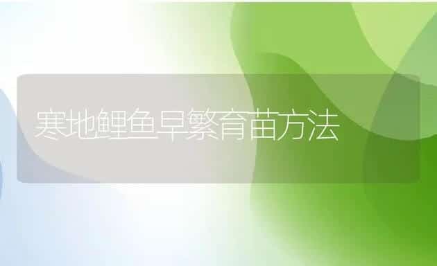 寒地鲤鱼早繁育苗方法 | 动物养殖饲料