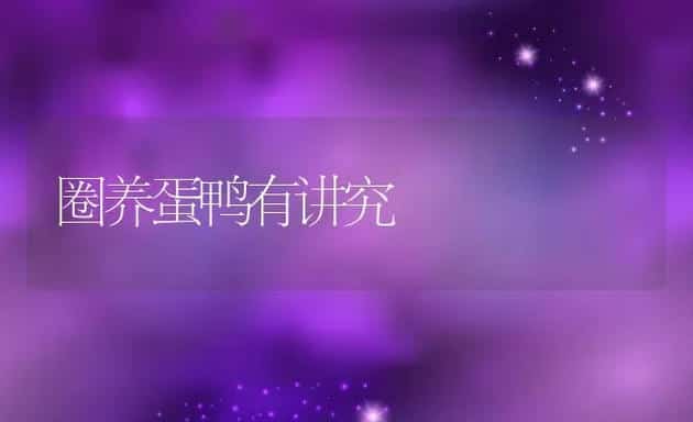 圈养蛋鸭有讲究 | 动物养殖饲料