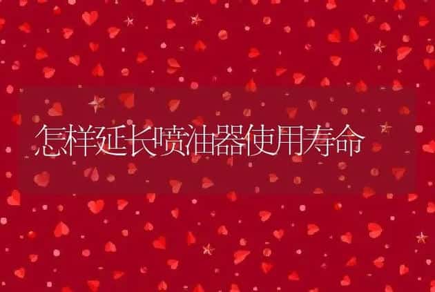 怎样延长喷油器使用寿命 | 养殖
