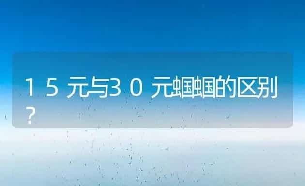 15元与30元蝈蝈的区别？ | 动物养殖问答