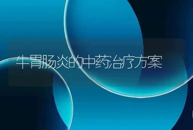 牛胃肠炎的中药治疗方案 | 家畜养殖