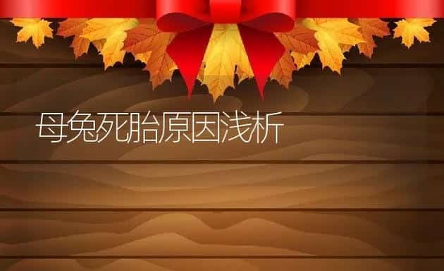 放蜂要注意防止农药中毒 | 动物养殖学堂