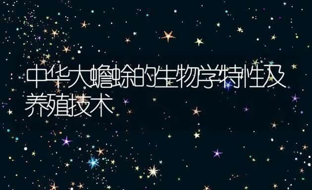 中华大蟾蜍的生物学特性及养殖技术 | 水产养殖知识