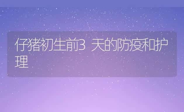 仔猪初生前3天的防疫和护理 | 动物养殖学堂