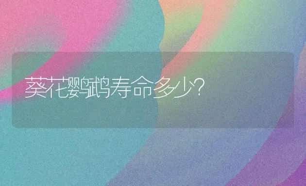 葵花鹦鹉寿命多少？ | 动物养殖问答