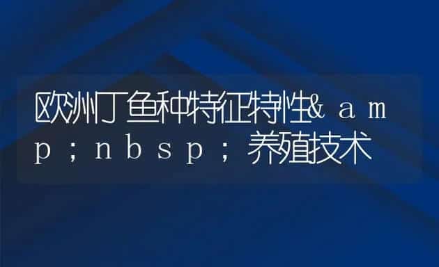 欧洲丁鱼种特征特性养殖技术 | 动物养殖饲料