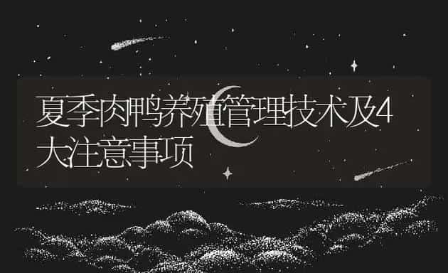 夏季肉鸭养殖管理技术及4大注意事项 | 动物养殖百科