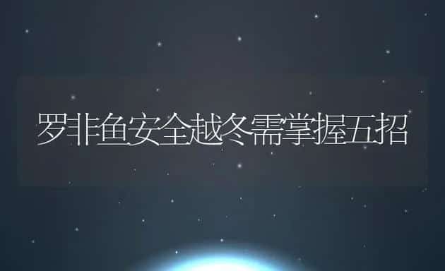 罗非鱼安全越冬需掌握五招 | 动物养殖饲料