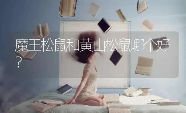 狗狗可以吃桔子吗？ | 动物养殖问答