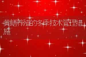 黄鳝养殖的冬季技术管理措施