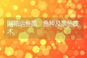 网箱运鱼苗、鱼种及亲鱼技术