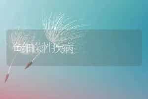 鱼细菌性疾病