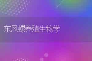 东风螺养殖生物学