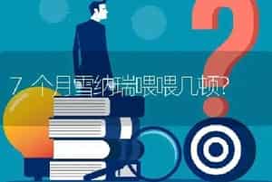 7个月雪纳瑞喂喂几顿？