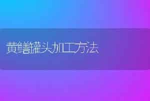 黄鳝罐头加工方法