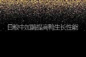 羔羊人工哺乳法及注意事项