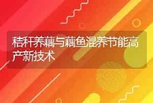 因水体制宜合理投放鱼种