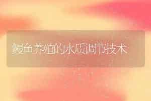 鳗鱼养殖的水质调节技术