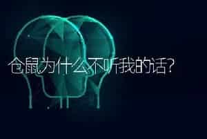 兔子让你翻肚皮是什么意思？