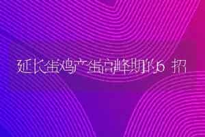 硫酸铜防治鱼病"六注意"