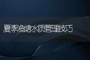 夏季渔塘水质管理技巧