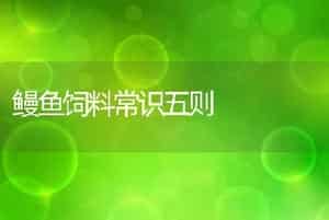 鳗鱼饲料常识五则