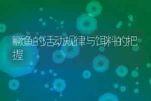 鳜鱼的活动规律与饵料的把握