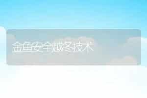 金鱼安全越冬技术